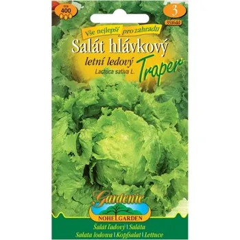 Sazenice Salát hlávkový letní ledový Traper