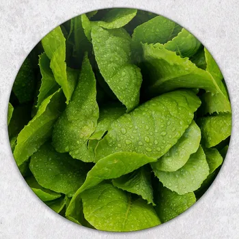 Obraz Kuchyňská Multifunkční Dekorativní Kulatá Skleněná Deska na Salát ø 40 cm