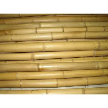 Opora na rostlinu Axin Trading s.r.o. Bambusová tyč 3- 4 cm, délka 100 cm