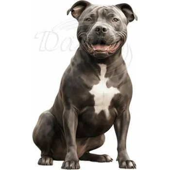 Textilní nažehlovací páska Dante Nažehlovačka Staford - 13 x 20 cm