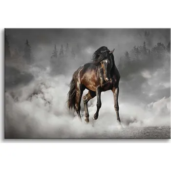 Obraz Obrazy na plátně Hnědý Kůň Dekorace na zeď Obrazy do obýváku 60x90