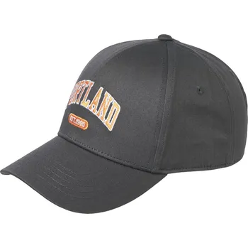 Pokrývka hlavy Kšiltovka Jack and Jones Asphalt 1150568 Mens