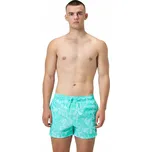 Pánské plážové šortky Speedo zelené L