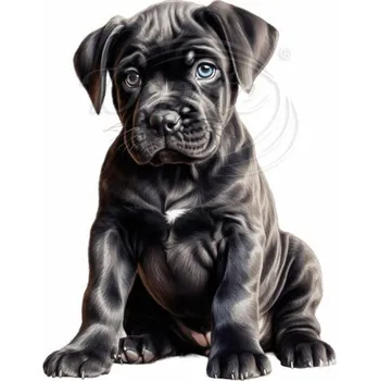 Textilní nažehlovací páska Dante Nažehlovačka Cane Corso štěně - 16 x 20 cm