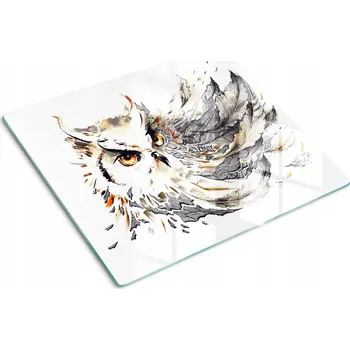 Obraz Tvrzené sklo krájecí deska Sova 60x52