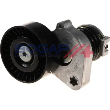 Rozvod motoru Napínák žebrovaného klínového řemenu BOGAP C1317107