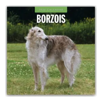 Diář Borzois - Barsoi - Barzaia - Russischer Wolfshund 2026 - 16-Monatskalender – Red Robin Publishing Ltd (EN)