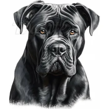 Textilní nažehlovací páska Dante Nažehlovačka Cane Corso hlava - 19 x 20 cm