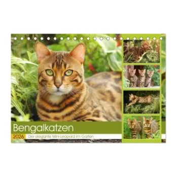 Cestování Bengalkatzen. Der elegante Mini-Leopard im Garten (Tischkalender 2026 DIN A5 quer), CALVENDO Monatskalender (DE)