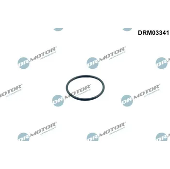Čidlo automobilu Těsnění, termostat Dr.Motor Automotive DRM03341