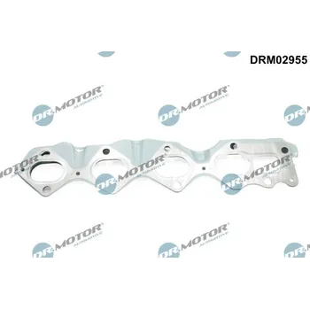 Automobilové těsnění Těsnění, kolektor výfukových plynů Dr.Motor Automotive DRM02955