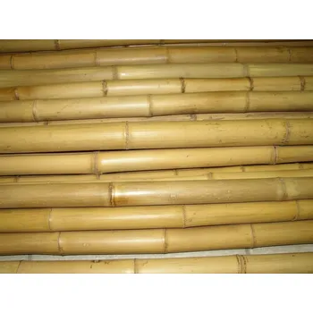 Opora na rostlinu Bambusová tyč 3- 4 cm, délka 100 cm podélně prasklá