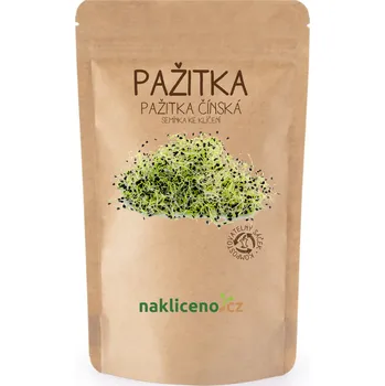Semeno Naklíčeno Pažitka - Pažitka čínská - 50 g
