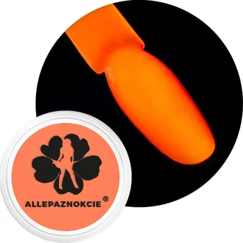 Neonový pigment na nehty v prášku, dóza, neon UV pigment 0,6 g Č. 05