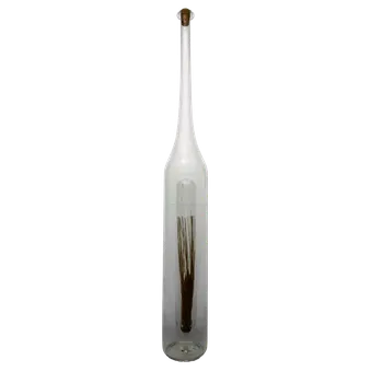 Sklenice Láhev obilný klas