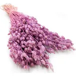 mech-mech.cz Sušená Silene - (Silene vulgaris) - Lila