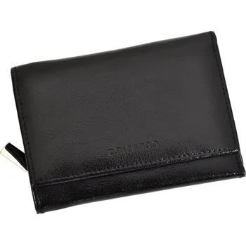 Peněženka Dámská peněženka Z.Ricardo 026 černá