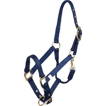 Ohlávka pro hříbata BR blue