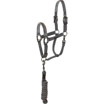 Ohlávka s vodítkem ANKY stones steel grey COB