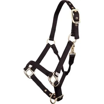 Ohlávka pro hříbata BR black