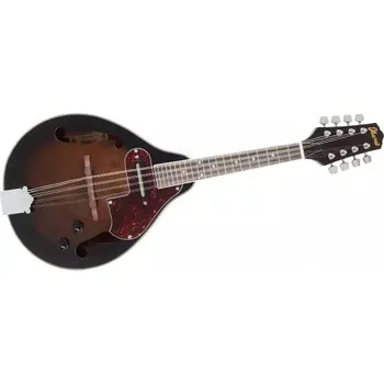 Mandolína Mandolína Ibanez M510E DVS