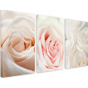 Obraz Pastelové obrazy na plátně do obýváku Jemné květiny Okvětní lístky růže 90x180