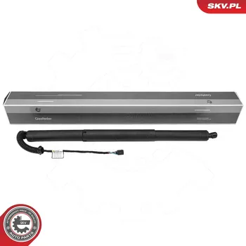 Elektromotor, zadní dveře ESEN SKV 52SKV199