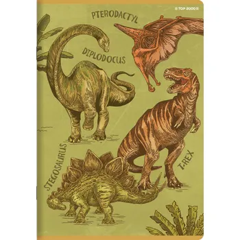 Sešit Sešit A5 s mřížkou TOP-2000, 80 listů, měkká obálka, vícebarevný