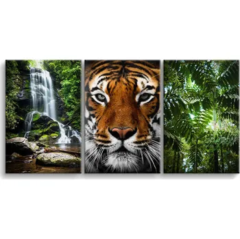 Obraz Obrazy do obýváku Vodopád Tygr Džungle Obrazy do ložnice 90x180