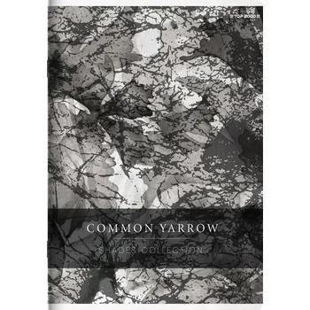 Sešit Sešit A5 linkovaný TOP-2000 60 listů