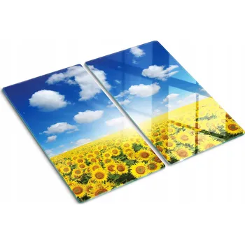 Obraz Krájecí deska Tulup sklo 2 ks