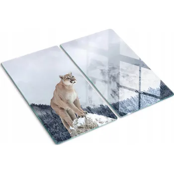 Obraz Krájecí deska Tulup sklo 2 ks