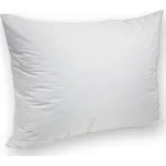 TENCEL nepropustný chránič na polštář 45x60 cm se zipem