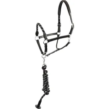 Kožená ohlávka s vodítkem BR Dundee černá FULL