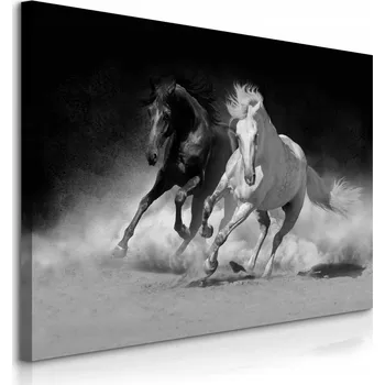 Obraz Obraz do obýváku černobílý koně trysk 100x70