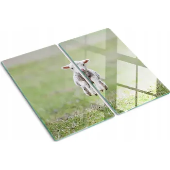 Obraz Krájecí deska Tulup sklo 2 ks