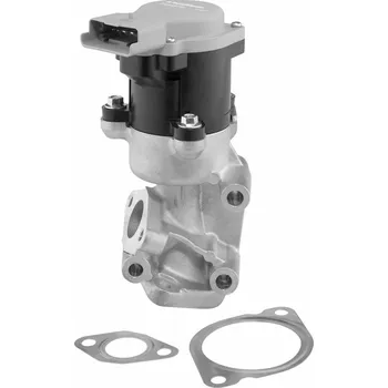 Ventil palivového systému AGR-Ventil BorgWarner 712057D