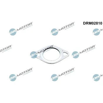 Výfukový systém Těsnění, vedení AGR ventilu Dr.Motor Automotive DRM02810