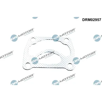 Těsnění motoru Těsnění, dmychadlo Dr.Motor Automotive DRM02957