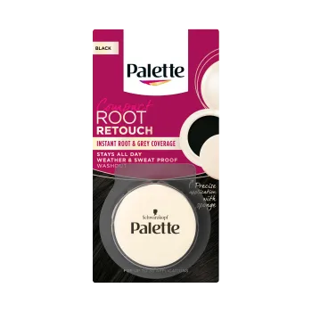 Barva na vlasy Palette Root Retouch 3g Černý