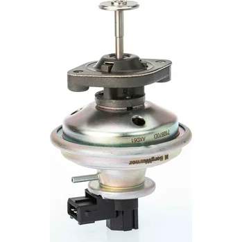 Ventil palivového systému AGR-Ventil BorgWarner 710970D