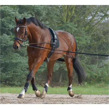 Lonžovací postroj WALDHAUSEN black COB/FULL