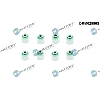 Těsnění motoru Sada těsnění, dřík ventilu Dr.Motor Automotive DRM02556S