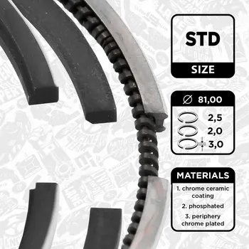 Píst motoru Sada pístních kroužků ET ENGINETEAM R1009700