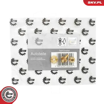 Rozhraní pro multimédia ESEN SKV 97SKV132