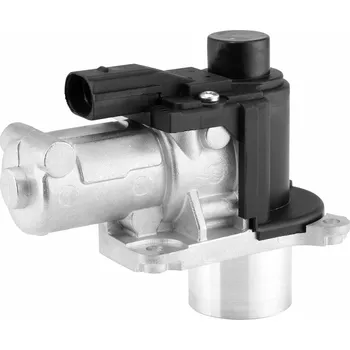 Ventil palivového systému AGR-Ventil BorgWarner 710572D