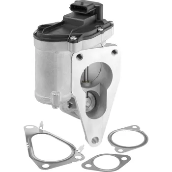 Ventil palivového systému AGR-Ventil BorgWarner 712018D