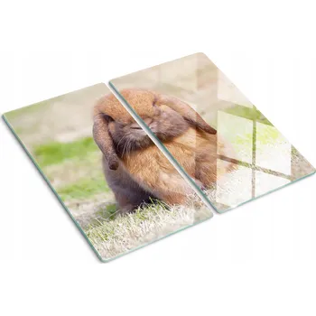 Obraz Krájecí deska Tulup sklo 2 ks