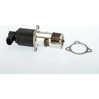 Ventil palivového systému AGR-Ventil BorgWarner 710950D