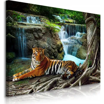 Obraz Obraz TYGR Wodospad Strom Krajina 3D 100x70